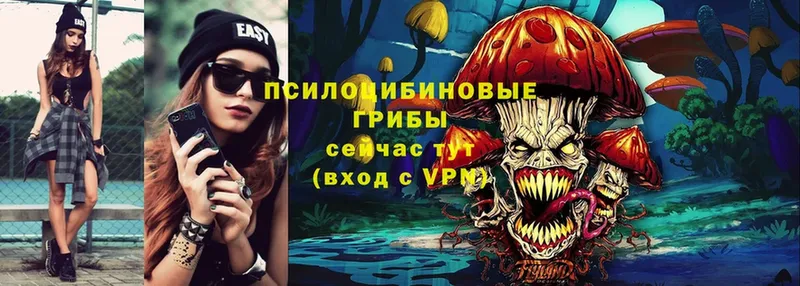 Псилоцибиновые грибы Magic Shrooms  где можно купить   Воскресенск 